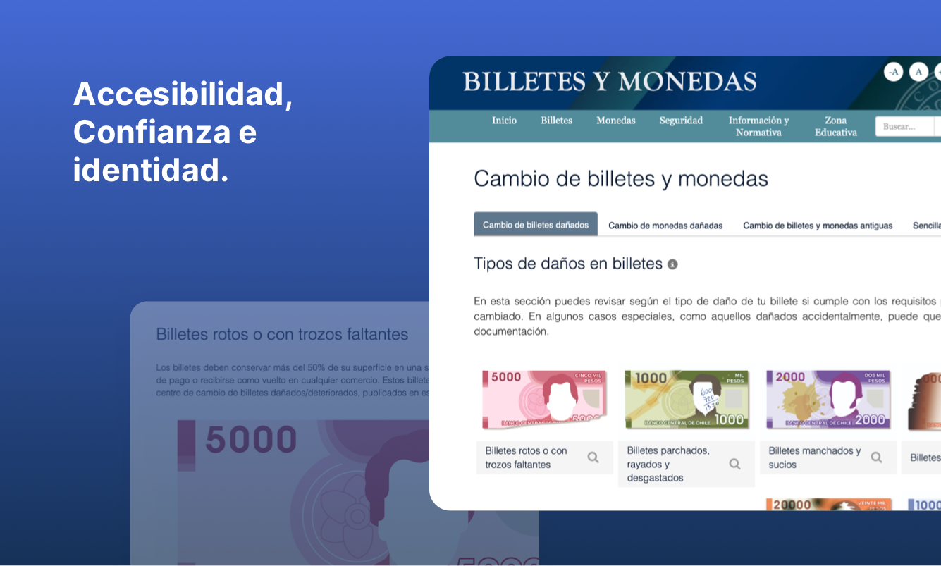 Vista y experiencia