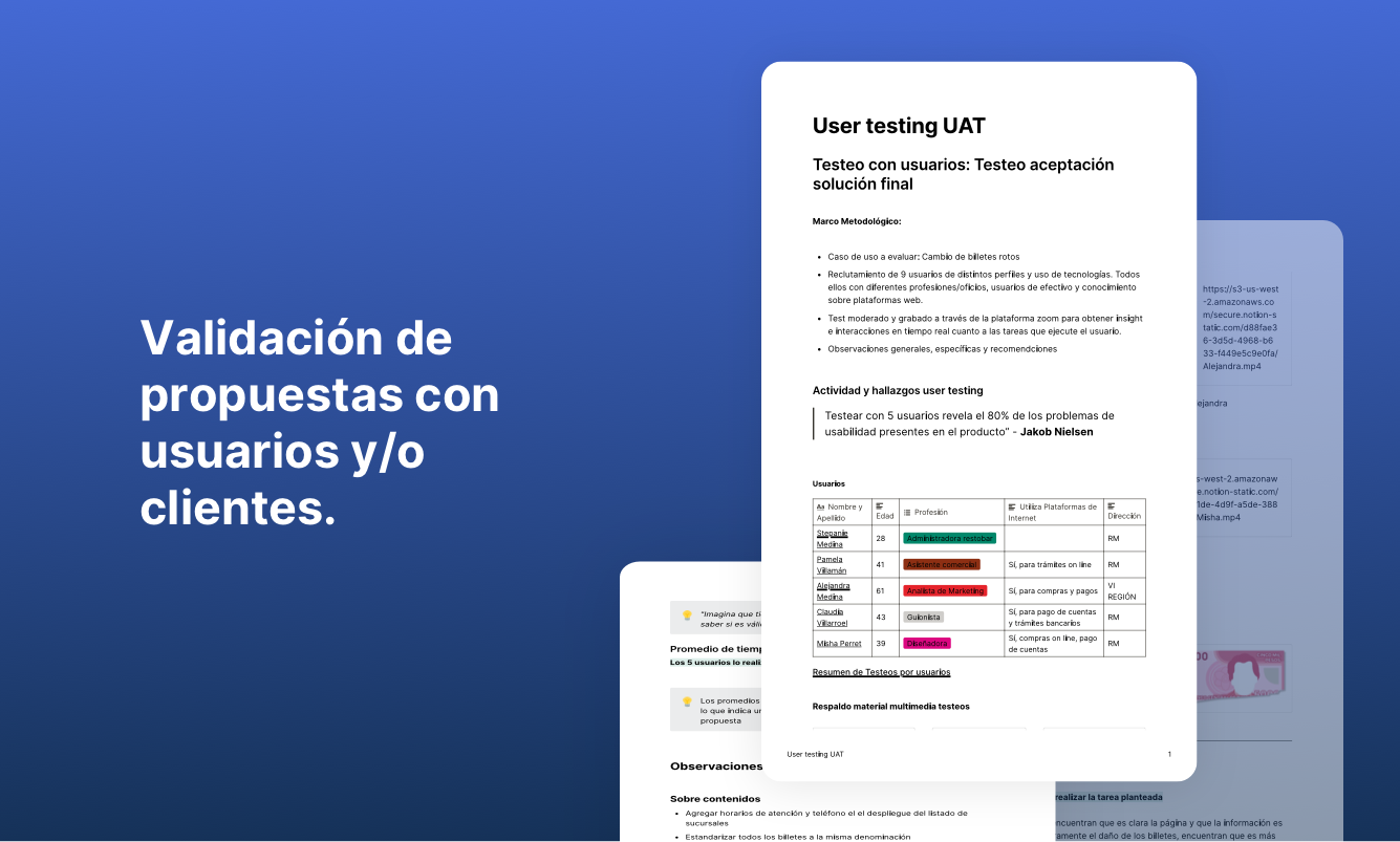 Vista y experiencia