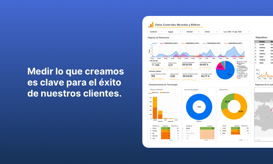 Vista y experiencia